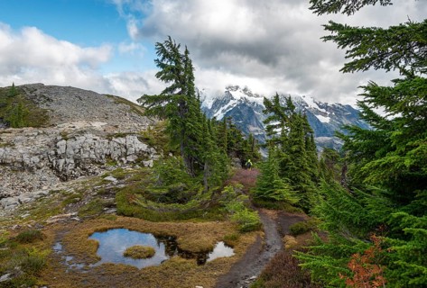 Hikers on trail on Table Mountain