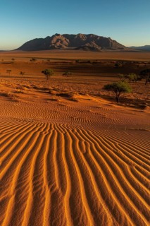 Wind-sculpted structures in the sand of the Namib Desert with Losberg Mountain in the background after sunrise