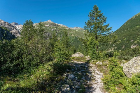 Landscape of the Rhone valley near the hamlet of Gletsch