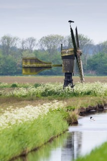 Scoop Mill