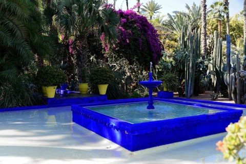 Jardin Majorelle