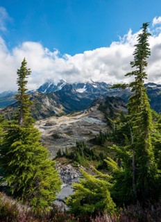 View from Table Mountain of Mt. Shuksan with snow and glacier