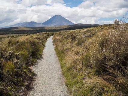 Taranaki Falls Track