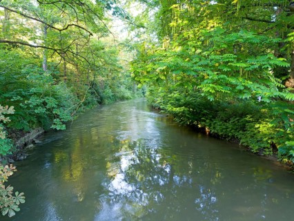 River Ilm with riparian vegetation