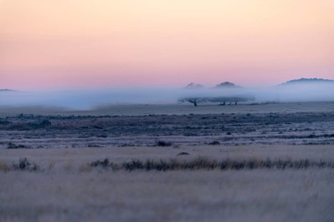 Morning mist at Tiger Canyon Farm