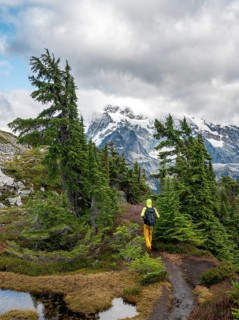 Hikers on trail on Table Mountain