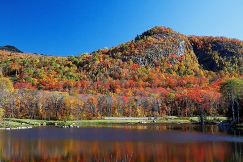 Autumnal landscape