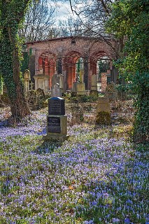 South cemetery and crocuses