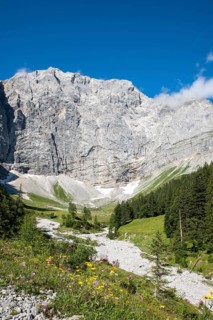 Enger Grund pasture area with dried-up stream bed of the Rissbach
