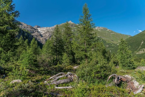 Landscape of the Rhone valley near the hamlet of Gletsch