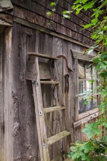 Old stepladder leaning against exterior wall of old rustic wood plank cabin in summer