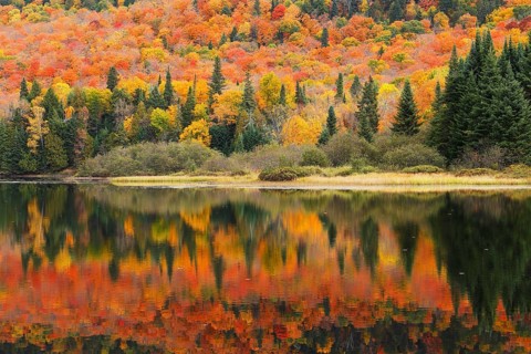 Autumnal landscape