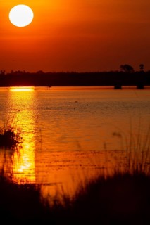 Sunset at Linyanti River