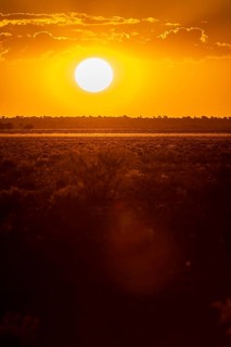 Sunset in the Central Kalahari Game Reserve