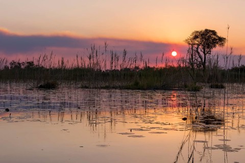 Sunset over the waterscape of the Okavango Delta