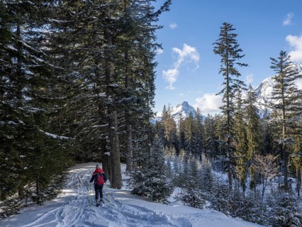Snowshoe walker