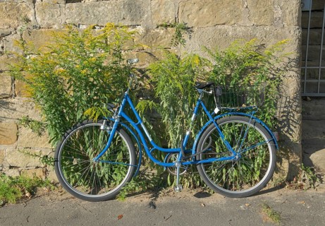 Blue bike