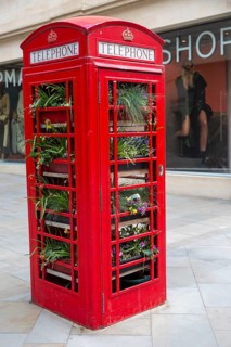 Old K2 red telephone box used for growing plants