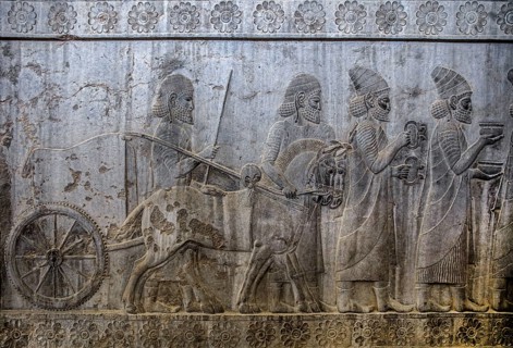 Relief detail of the delegation of nations bringing gifts to Darius on the steps of Apadana Palace