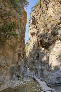 Hiking trail