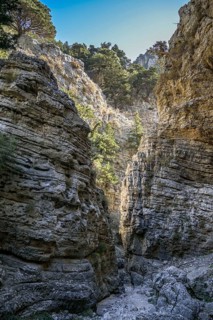 Narrows