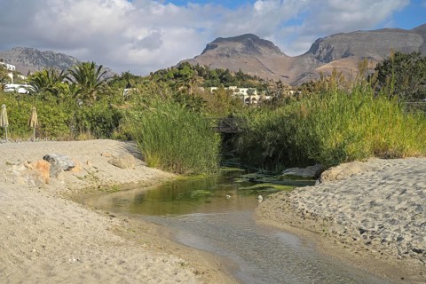 Freshwater stream