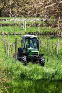 Farmer with his tractor at work among the vineyards on the hillside