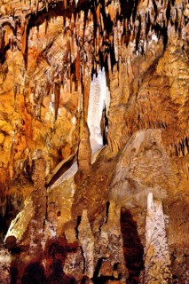 Grotta del Fico