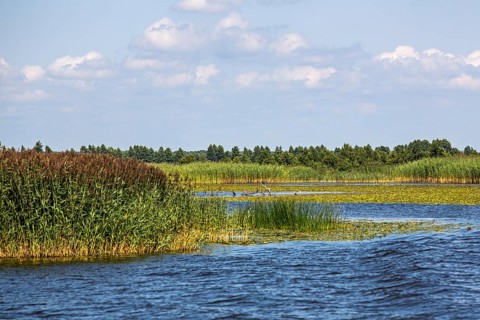 Marshland Memel-Delata