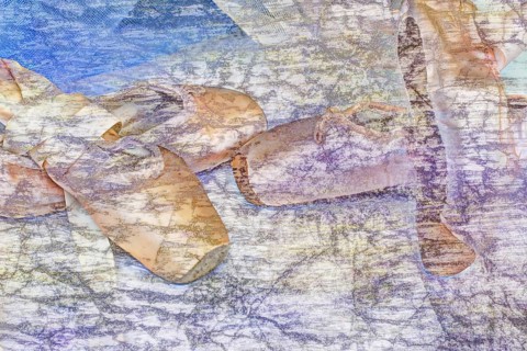 Ballet shoes