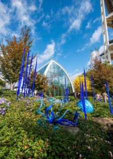 Sculpture garden with colourful glass artworks by Dale Chihuly
