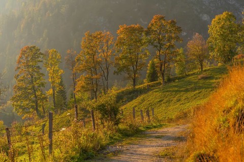 Hiking trail above the village
