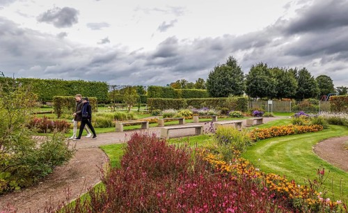 Palace gardens