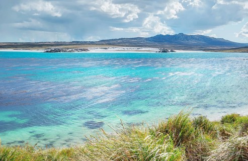 Seal bay
