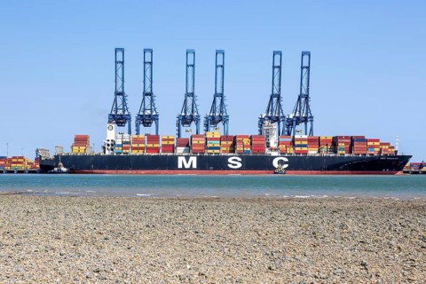 MSC