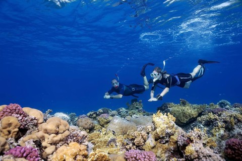 Apnoea diver