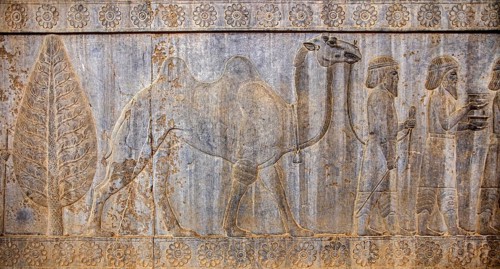Relief detail of the delegation of nations bringing gifts to Darius on the steps of Apadana Palace