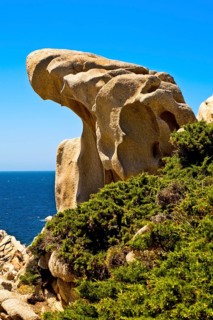 Bizarre granite rocks