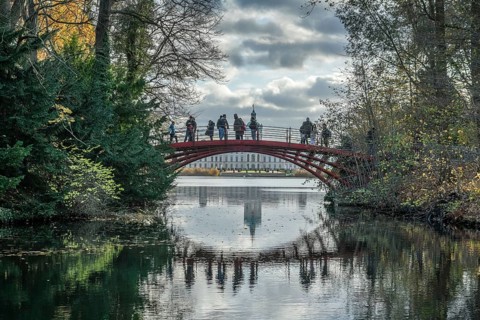 Bridge