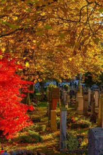 Old cemetery