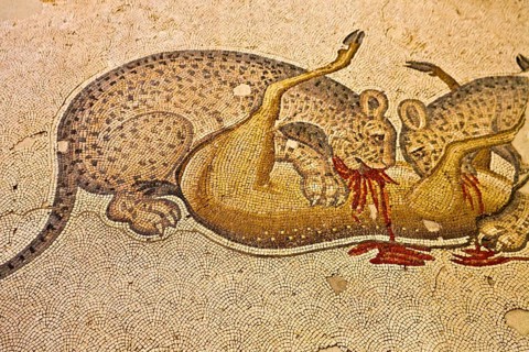 Mosaic Museum