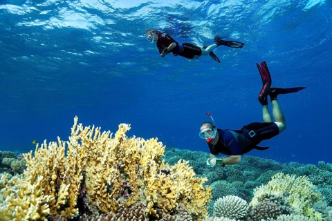 Apnoea Divers