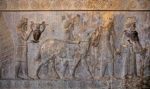 Relief detail of the delegation of nations bringing gifts to Darius on the steps of Apadana Palace