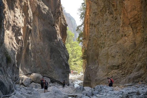 Hiking trail