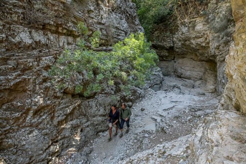 Narrows