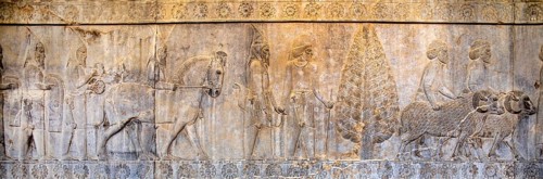 Relief detail of the delegation of nations bringing gifts to Darius on the steps of Apadana Palace
