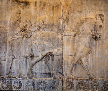 Relief detail of the delegation of nations bringing gifts to Darius on the steps of Apadana Palace