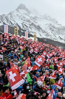 Swiss fans with flags