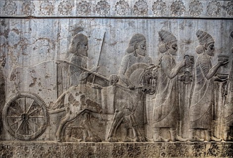 Relief detail of the delegation of nations bringing gifts to Darius on the steps of Apadana Palace