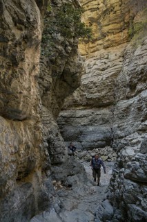 Narrows